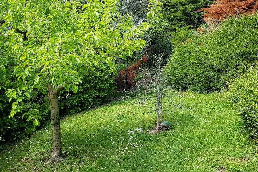 Iseolakerental - Casa Rododendro Sulzano Eksteriør billede